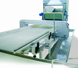 Power conveyor for dough
